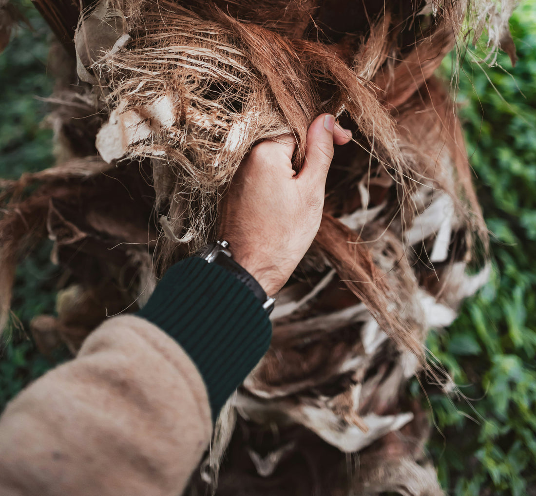 Embracing Nature's Bounty: The Timeless Elegance of Natural Materials in Home Design