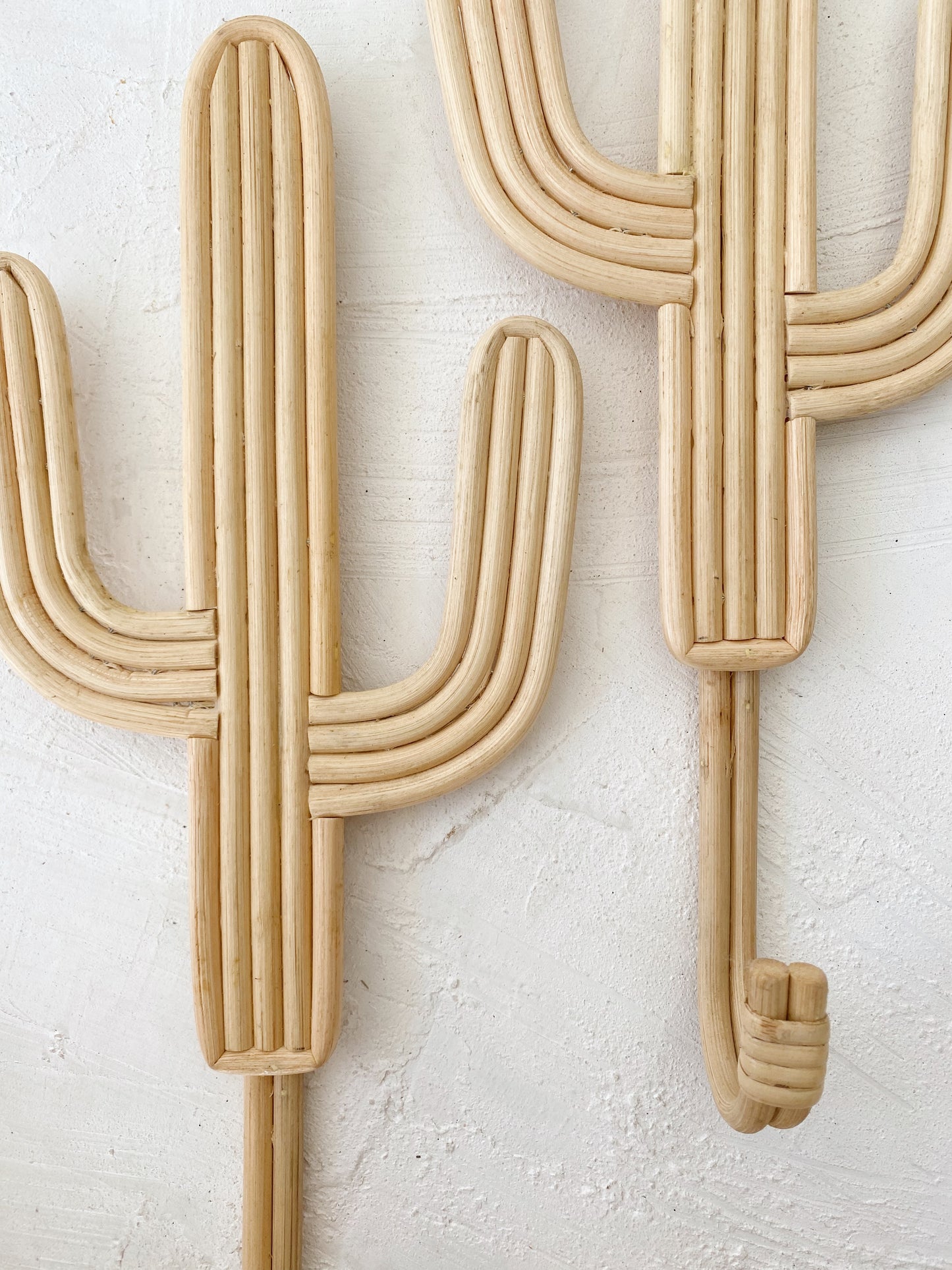 Set of 2 Cactus Rattan Hanger