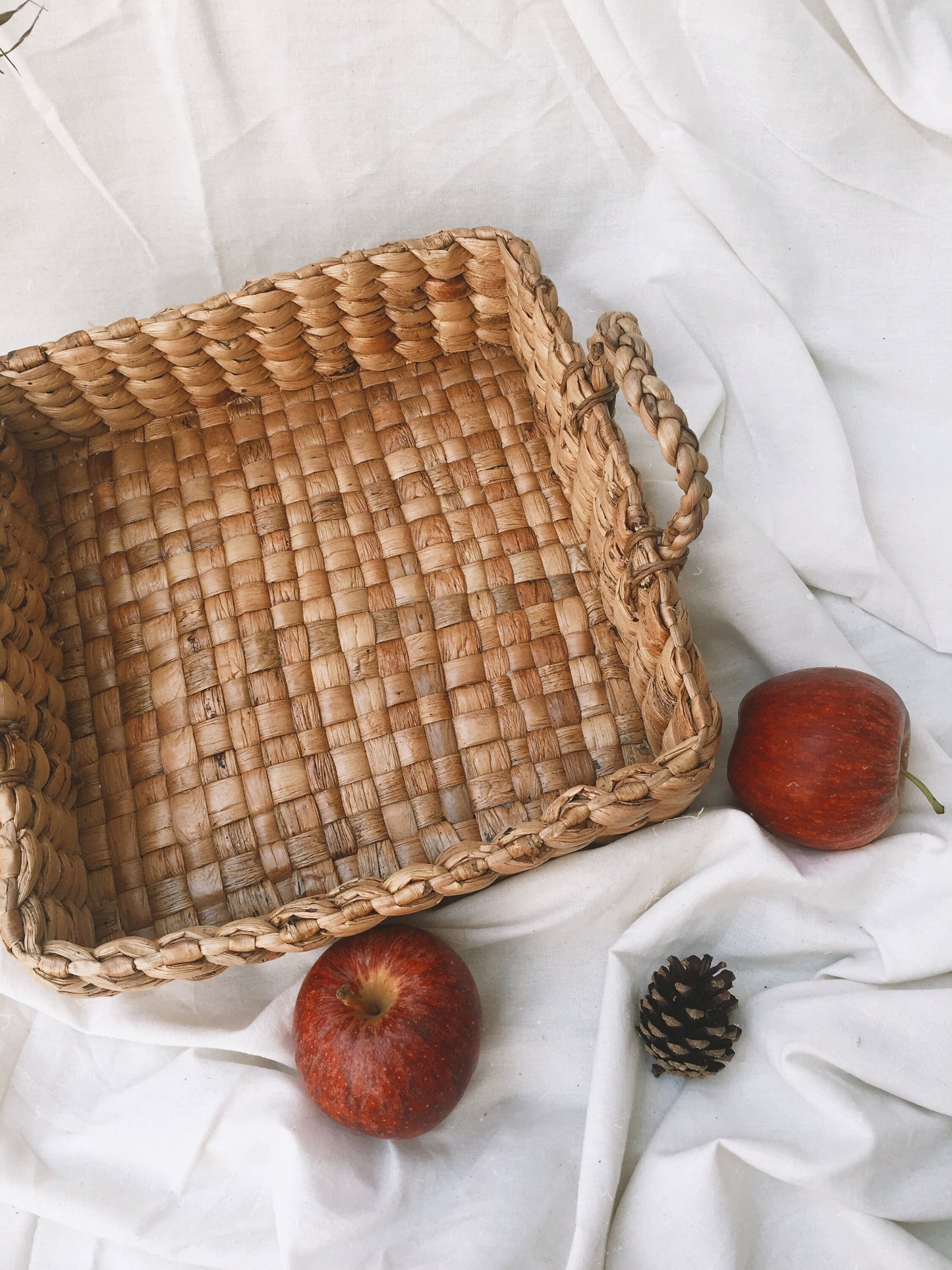 Square Water Hyacinth Tray