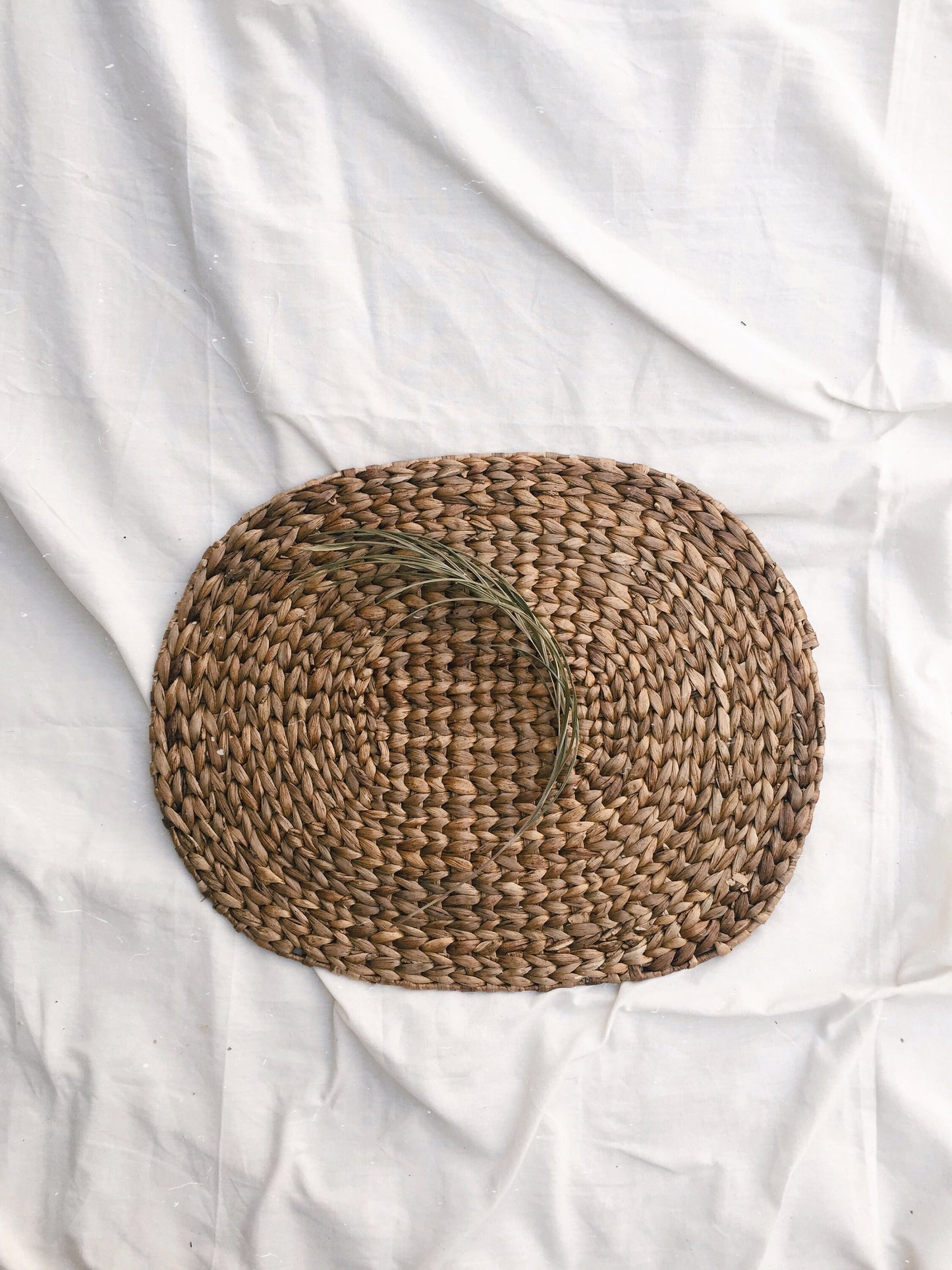 Oval Water Hyacinth Placemats