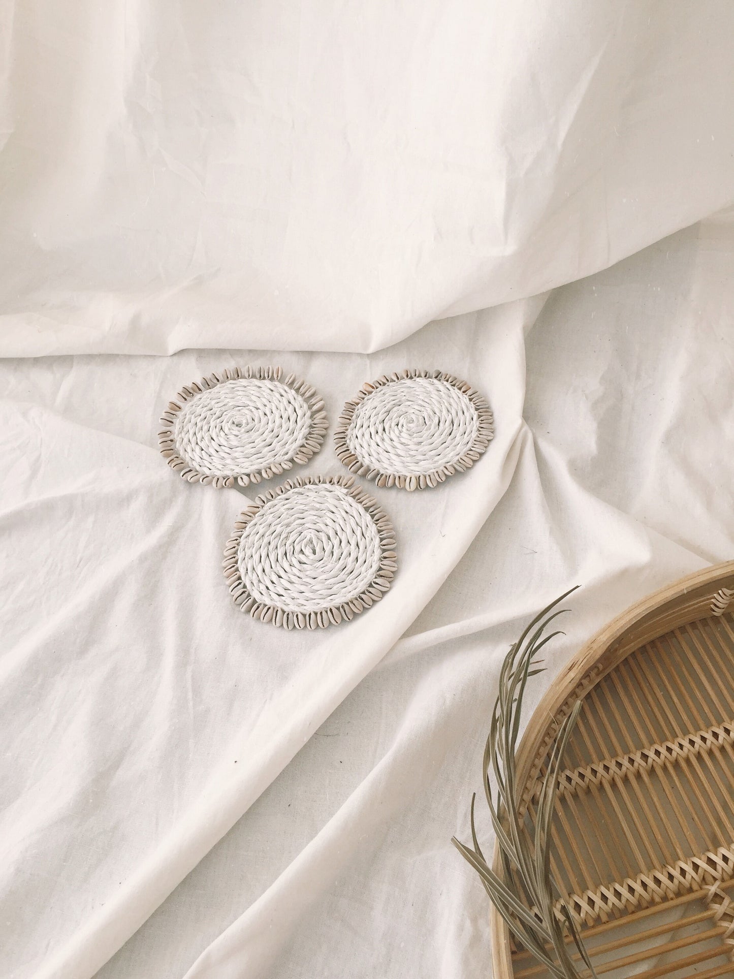 Set of White Shell Coaster