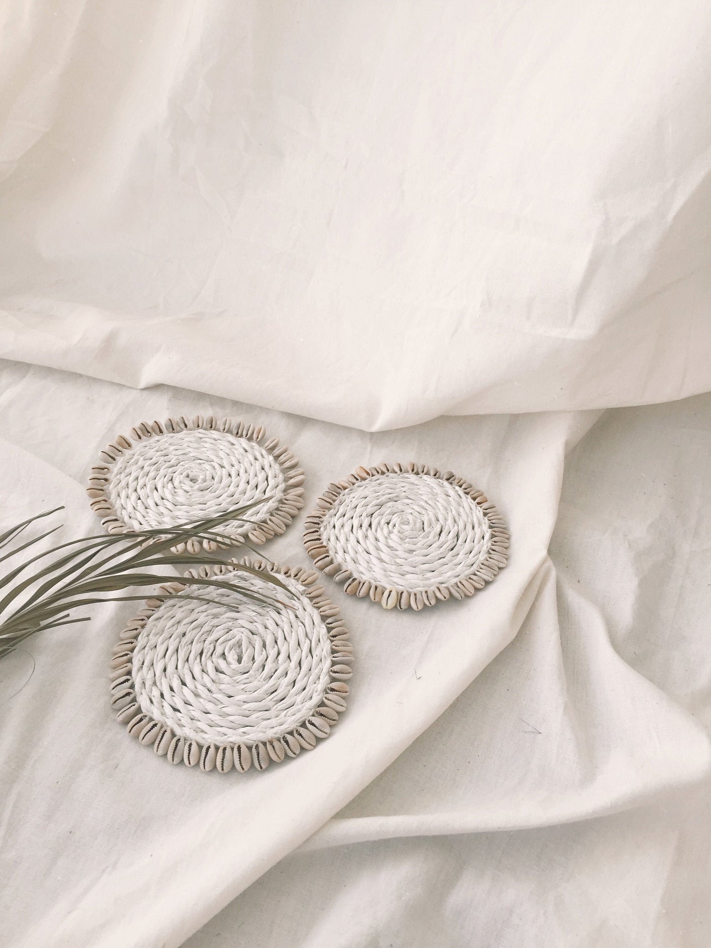 Set of White Shell Coaster