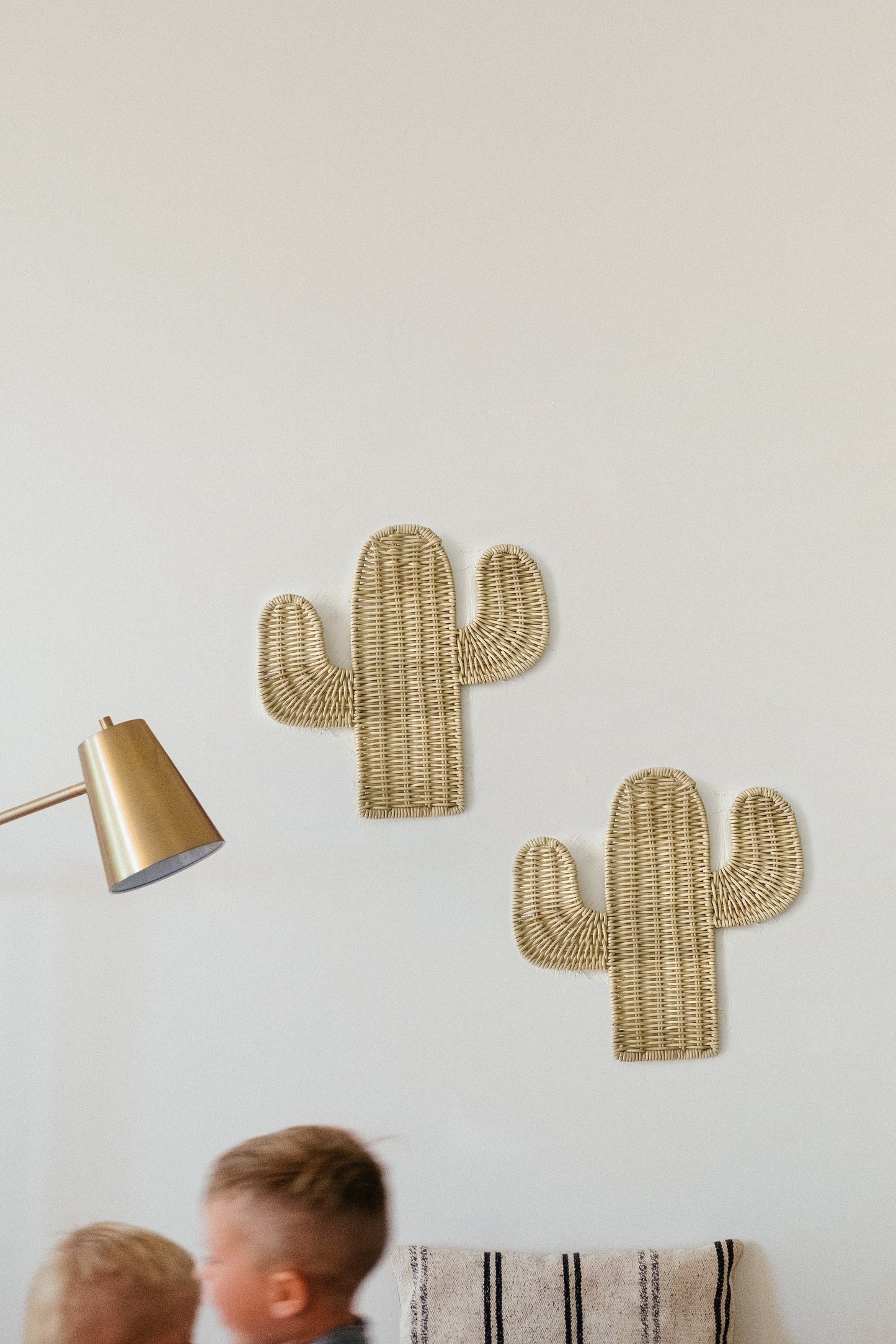 Cactus Rattan