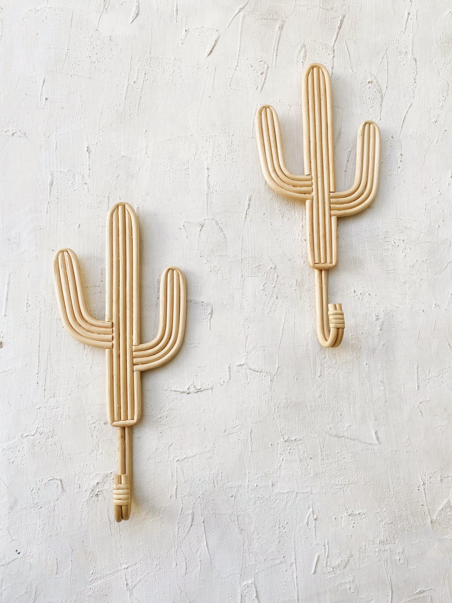 Set of 2 Cactus Rattan Hanger