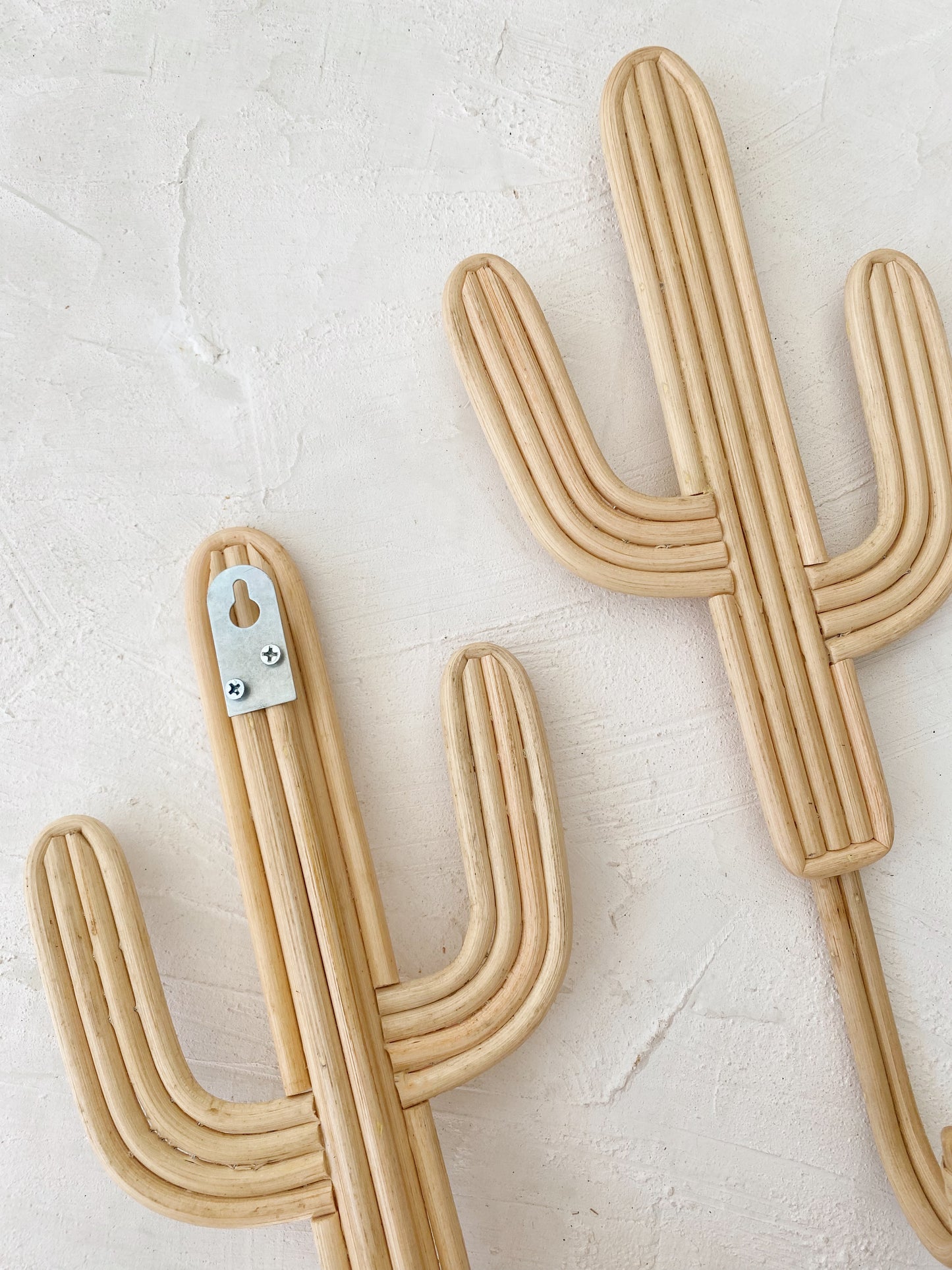 Set of 2 Cactus Rattan Hanger