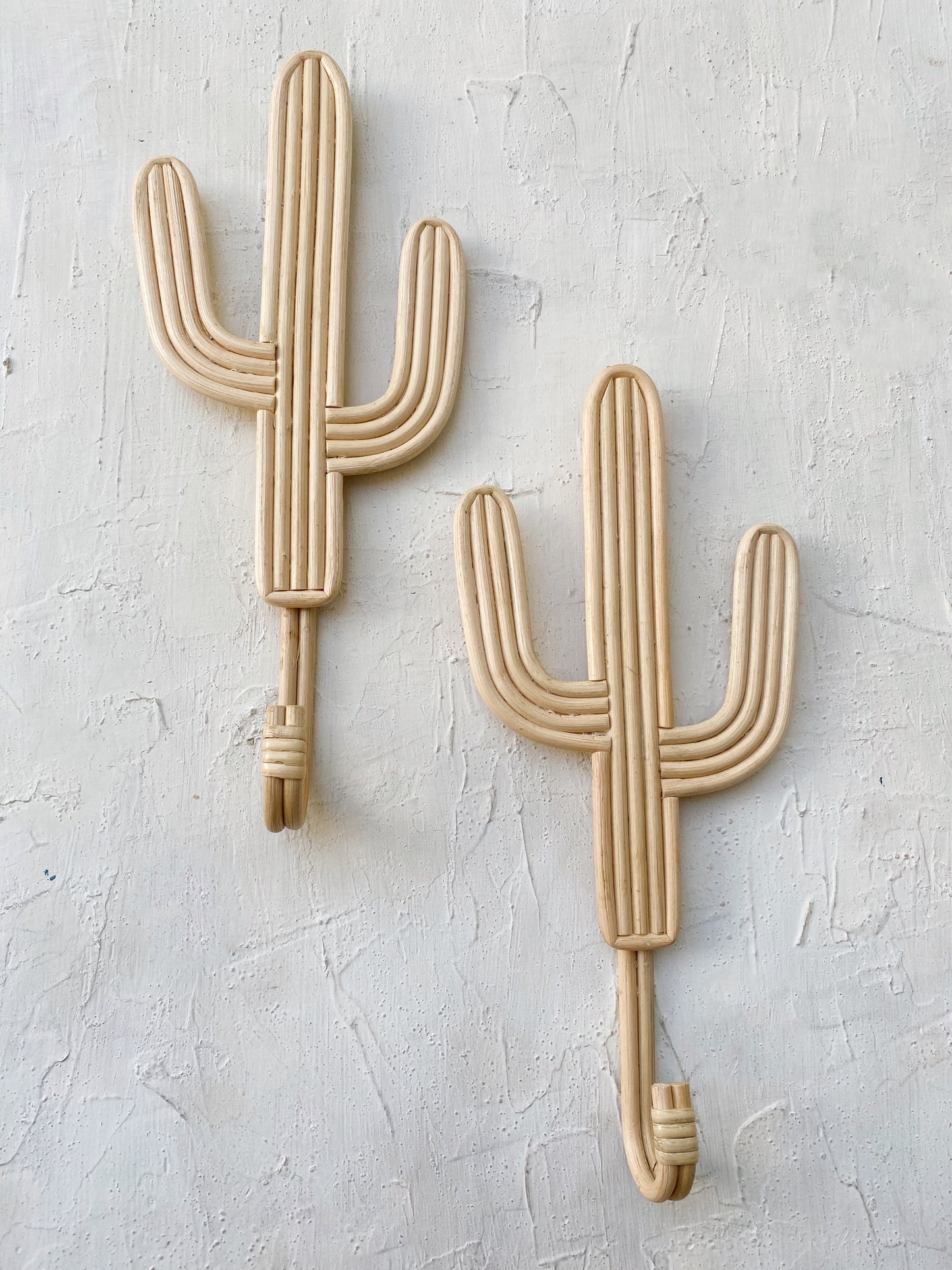 Set of 2 Cactus Rattan Hanger