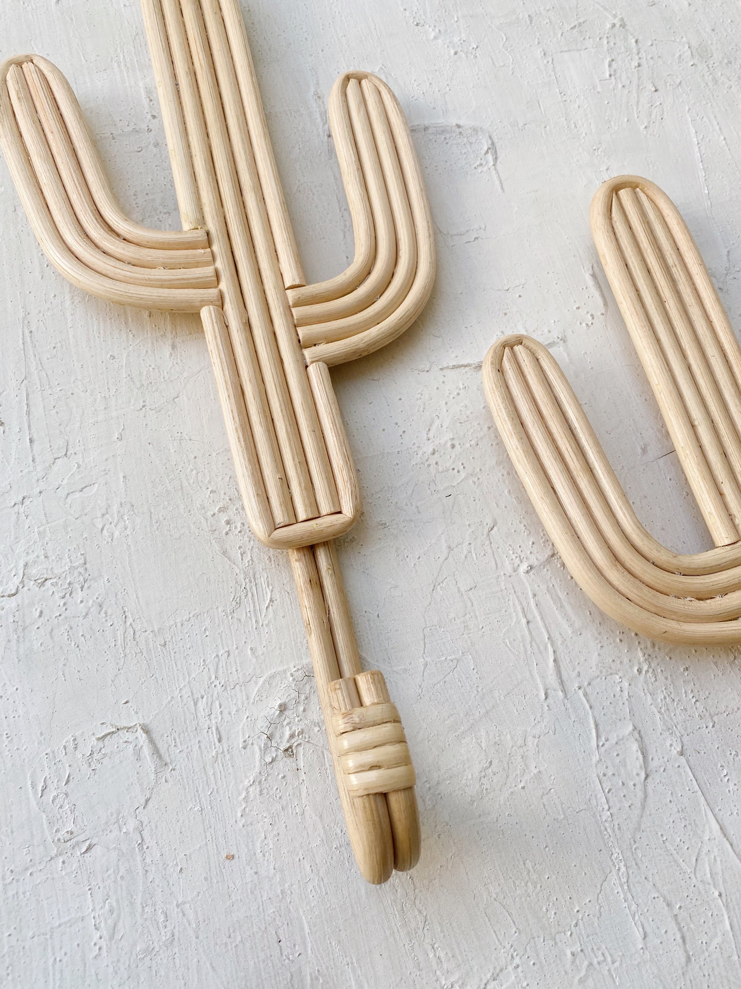 Set of 2 Cactus Rattan Hanger