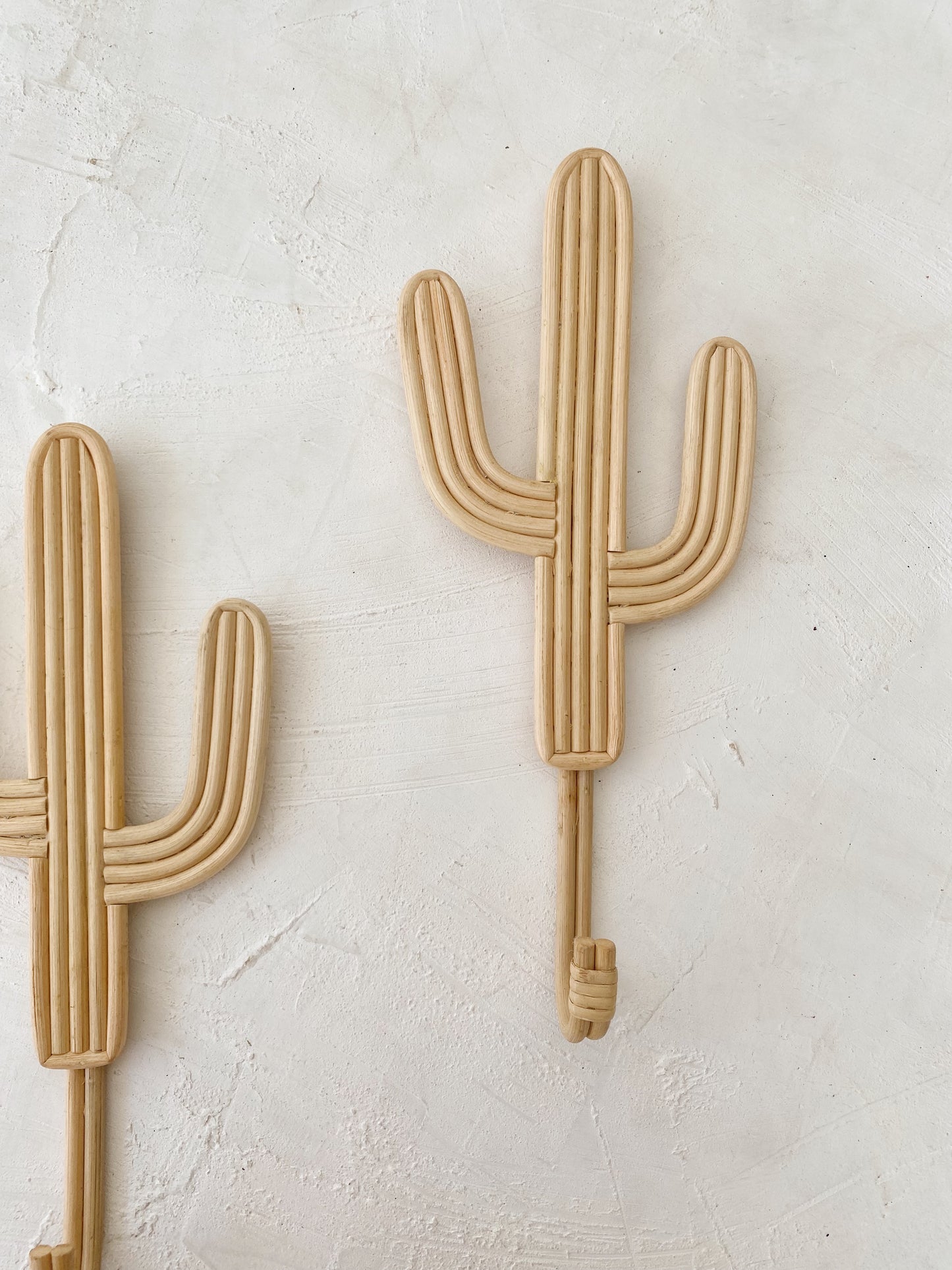 Set of 2 Cactus Rattan Hanger