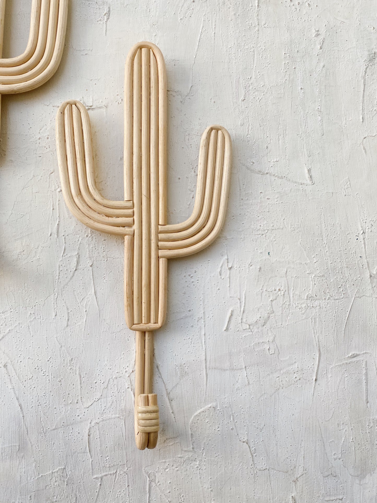 Set of 2 Cactus Rattan Hanger
