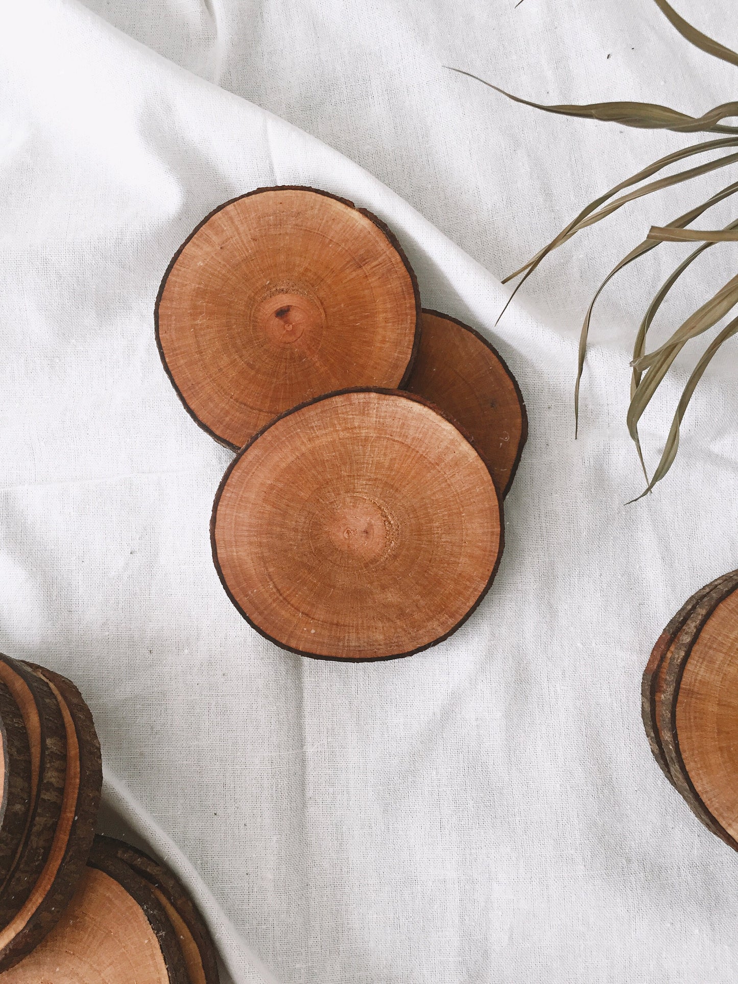Set of 3 Personalized Wooden Coaster