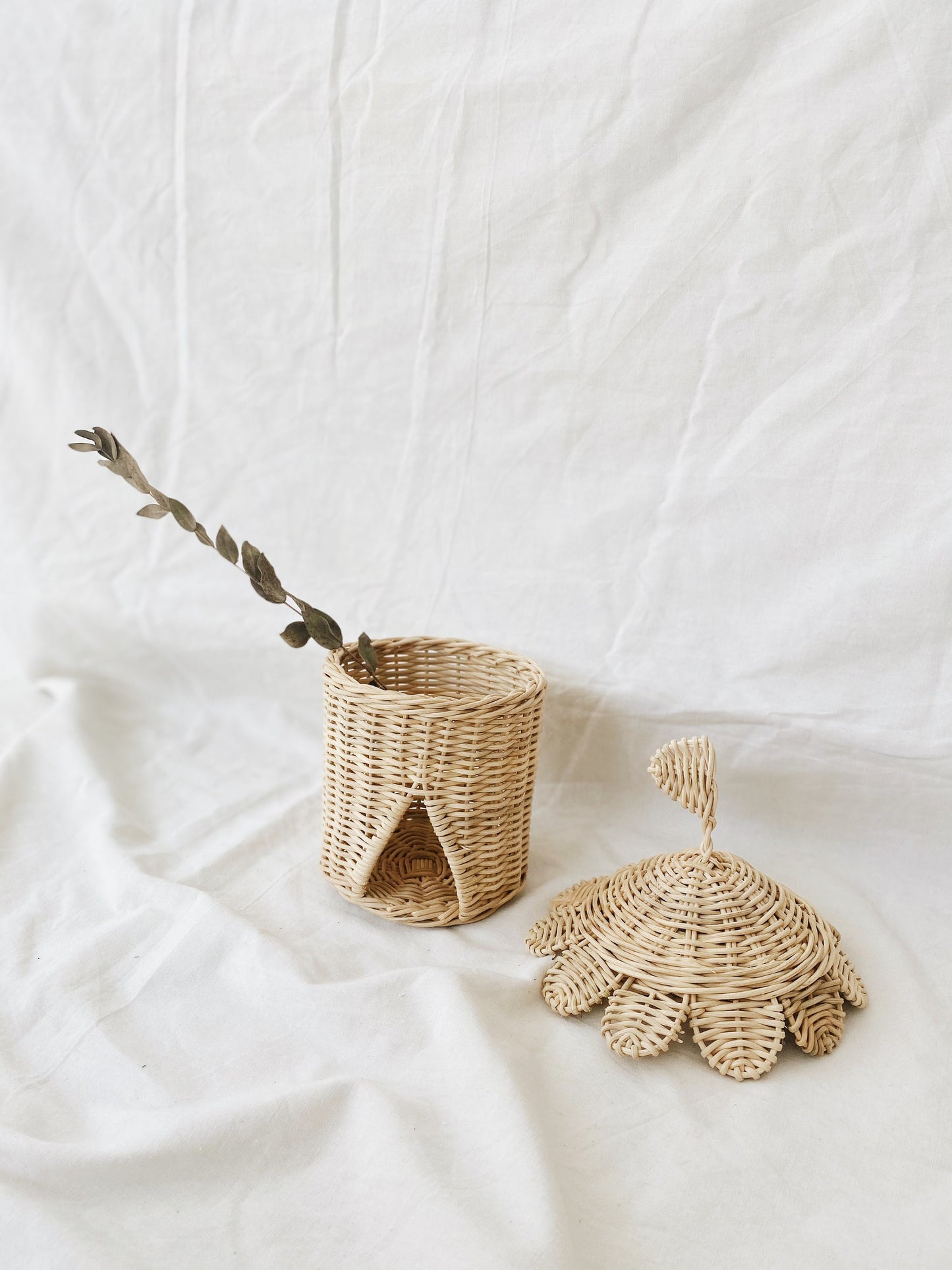 Rattan Circus House
