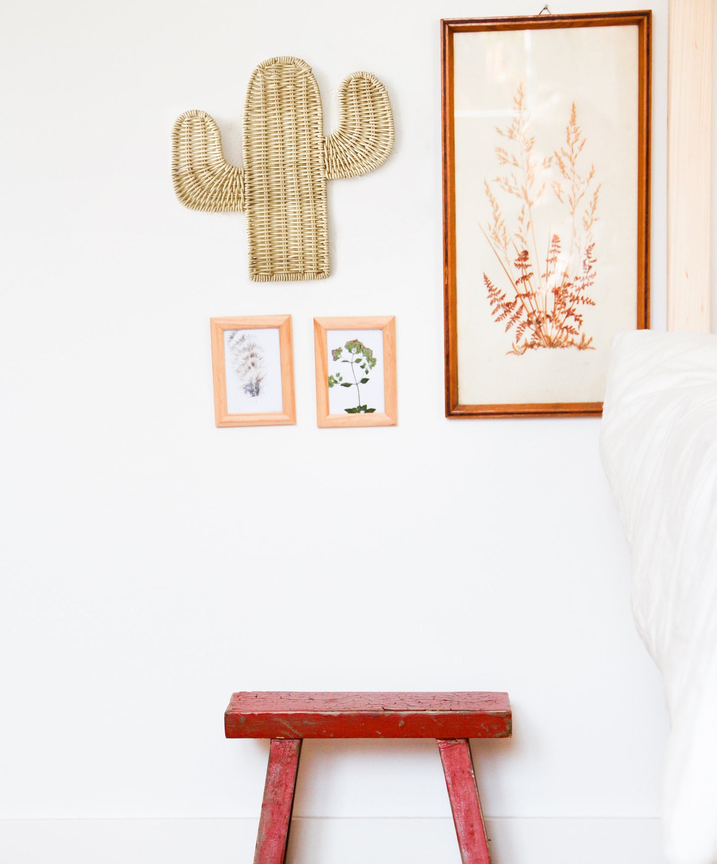 Cactus Rattan